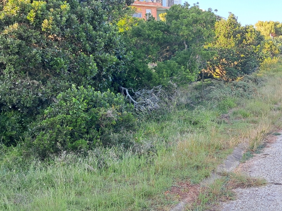 0 Bedroom Property for Sale in Paradise Beach Eastern Cape